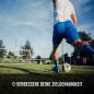 Preview: STRAB premium Torwand Profi Senior – für Fußball